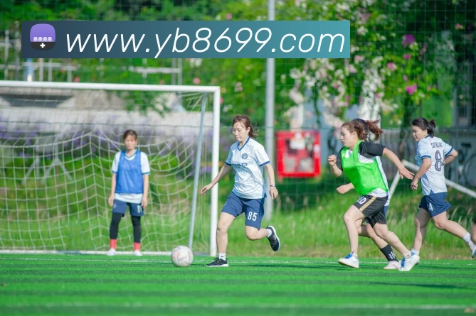 yabo体育平台官网入口APP 高清赛事图